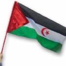 EL DERECHO INTERNACIONAL ANTE EL COFLICTO DEL SAHARA OCCIDENTAL
