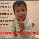 Campaña de búsqueda de familias de acogida     VACACIONES EN PAZ 2013